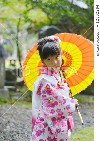 Shichigosan 12852294