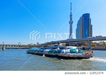 Sakura full of cherry blossoms on the sky tree spreading blue sky and a pleasure boat Sakura full of cherry blossoms on the sky tree spreading blue sky and a pleasure boat 12852374