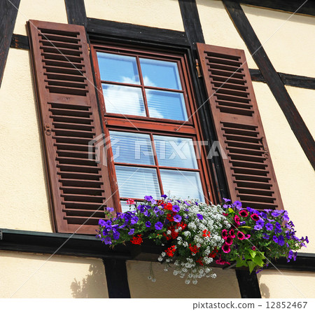 Window with shutters and box of different colorful flowers 12852467