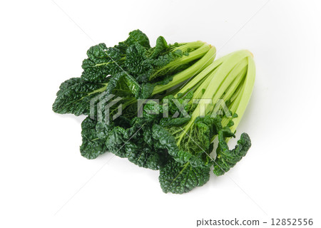 Yukina Yukina 12852556