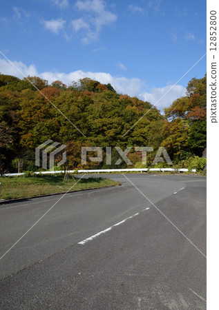 Downhill curves 12852800