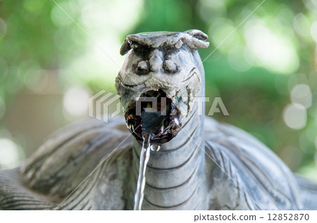 烏龜龍頭在水商店 12852870