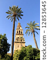 Tower of Mezquita 12853645