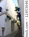 Flower path 12853646