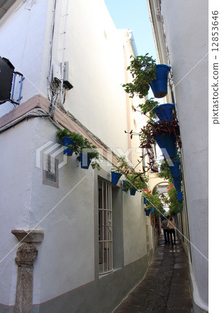 Flower path Flower path 12853646