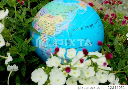 2014 The globe 12854051
