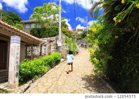 八月沖繩Kinjocho石鋪成的道路 八月沖繩Kinjocho石鋪成的道路 12854373