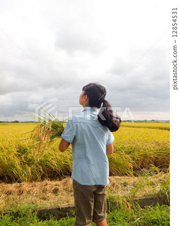 Harvest time ~ Girl holding rice earring ~ 4 Harvest time ~ Girl holding rice earring ~ 4 12854531