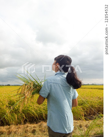Harvesting time ~ Girl holding rice earring ~ 5 Harvesting time ~ Girl holding rice earring ~ 5 12854532
