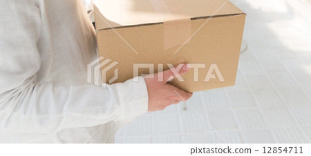 Cardboard Cardboard 12854711