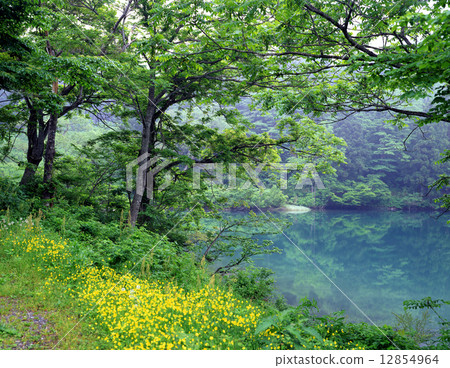 高山沒有池塘 高山沒有池塘 12854964