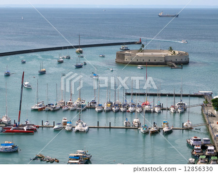 Harbor of Salvador de Bahia 12856330