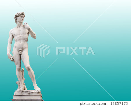 Michelangelo's David 12857173