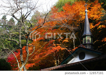 Autumn leaves of Otome Pass Mary Shrine Autumn leaves of Otome Pass Mary Shrine 12857181