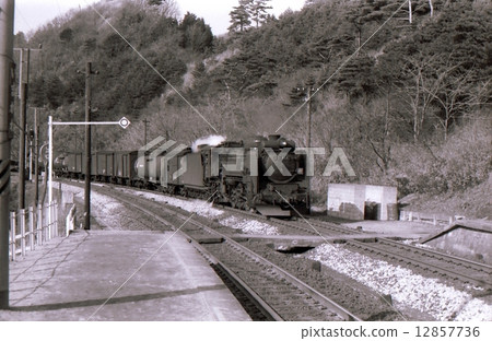 D51 cargo train arriving at Niigata Imagawa station Showa 45 years old Umegome line D51 cargo train arriving at Niigata Imagawa station Showa 45 years old Umegome line 12857736