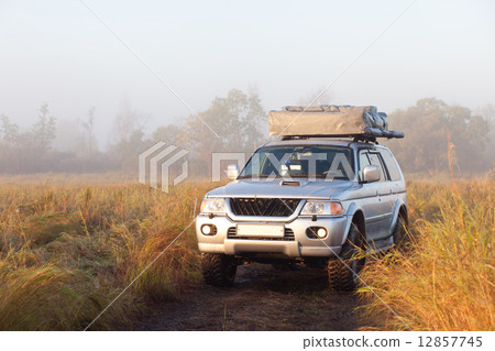 Car in the field 12857745