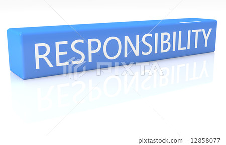 Responsibility Responsibility 12858077