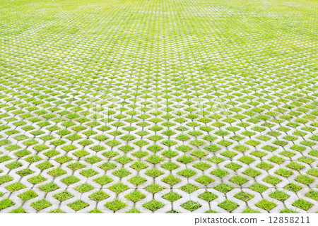 Eco-friendly parking 12858211