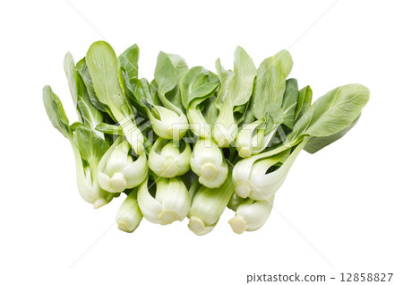 图库照片: fresh green bok choi isolated on white.
