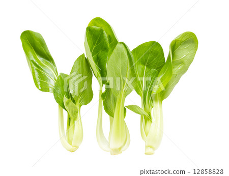 Fresh green bok choi isolated on white. Fresh green bok choi isolated on white. 12858828