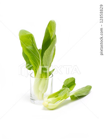 Fresh green bok choi isolated on white. Fresh green bok choi isolated on white. 12858829