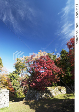 秋天風景Takatori城堡廢墟 12859341