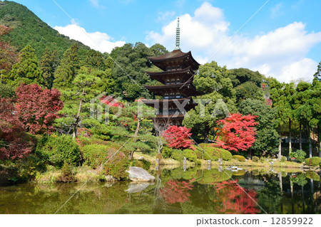 Rurikoji Rurikoji 12859922