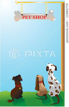 dogs under pet shop signboard 12860779
