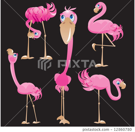 Flamingos cartoons. 12860780