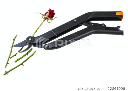 garden secateurs 12861006