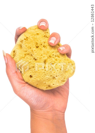 Synthetic bath sponge Synthetic bath sponge 12861443