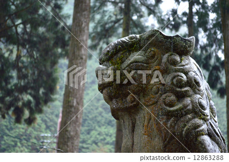 守護獅子犬在神社 12863288