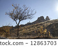 Trees and Cappadocia 12863703