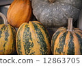 pumpkin 12863705