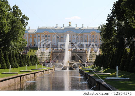Petergov Petergov 12864175