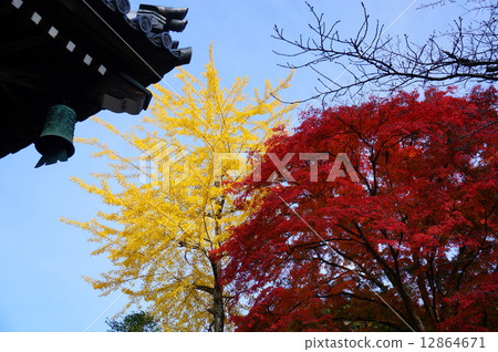 Nanzenji 12864671