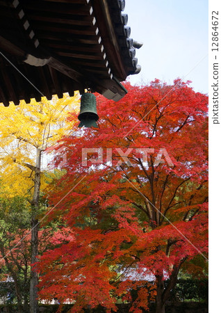 南禪寺 南禪寺 12864672