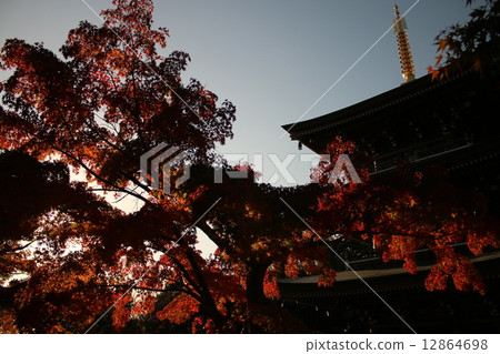 村松神社 村松神社 12864698