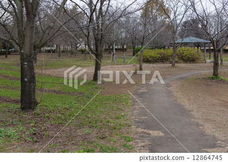 Autumn scenery Autumn scenery 12864745