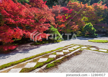 Tengui-an在秋天 12864917