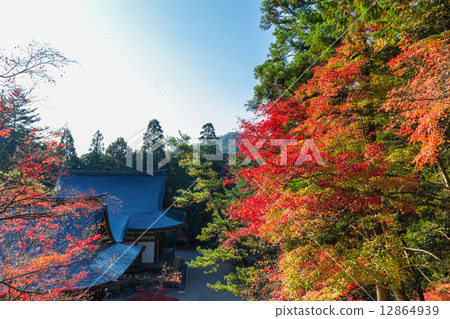Jingo-ji in autumn Jingo-ji in autumn 12864939