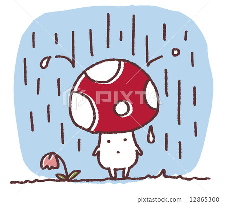 Mushrooms and rain 12865300