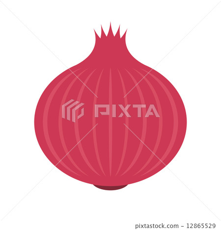 紅洋蔥 12865529