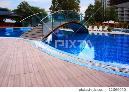 Swimming Pool with Bridge 12866050