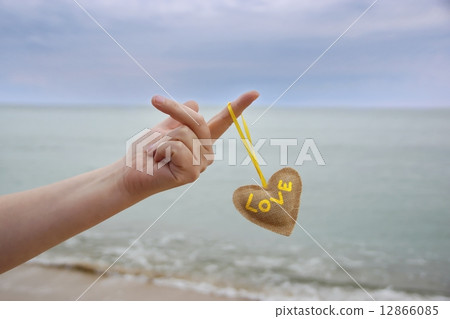 Female Hand With Fly Heart in Hand 12866085