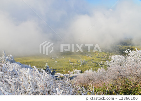 Kirishigejinagamori (Ehime Prefecture Jinugamori) 12866100