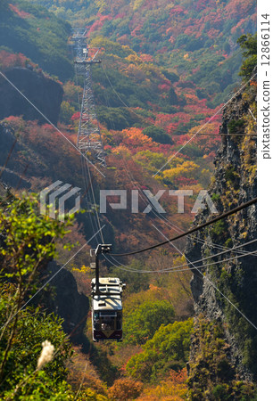 小豆島冷泉秋葉 小豆島冷泉秋葉 12866114