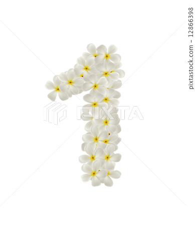 Numbers one made of tropical flowers frangipani Numbers one made of tropical flowers frangipani 12866398