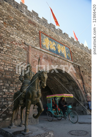 中國城市松樹家族 12866420