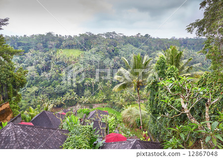 Wooden bulgalows on a hill on Bali, Indonesia Wooden bulgalows on a hill on Bali, Indonesia 12867048